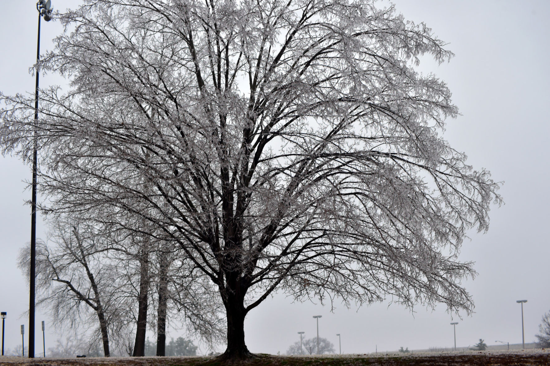 Ice